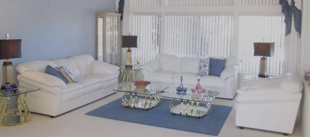 Red, White, and Blue Revue: An Eclectic Estate Sale – Sun City West, AZ – February 26-28, 2025